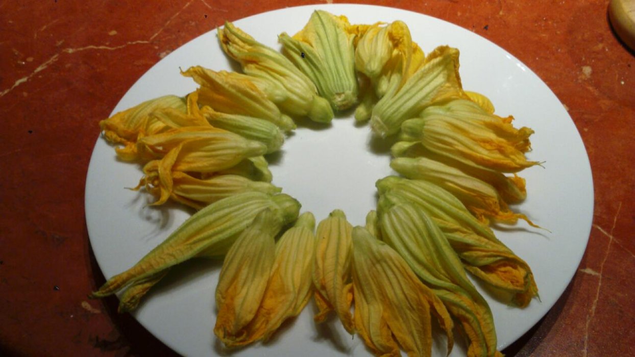 Las flores de calabacines fritas