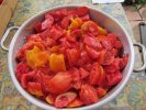 Tomates pour coulis, sauce,... - mélange de variétés