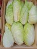 Pain de sucre : Chicorée