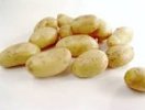 Pommes de terre  - Agatha 