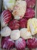 Palla rossa, Piave medio - Chicorée