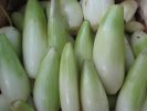 Oignons longs : 