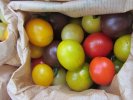 Tomates cerises : sachet de 350-400 gr