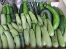 courgettes longues : Ortolana et cocozilla