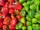 Poivrons : Salsa Poivrons : Salsa